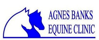 Agnes Banks Equine Clinic