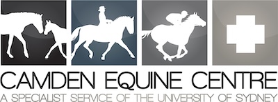 Camden Equine Centre